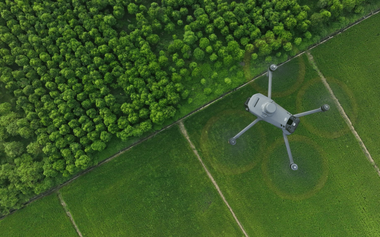 Precision Agriculture & Forestry